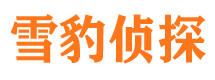 察雅找人公司